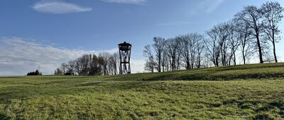 Rozejście pod wieżą widokową