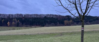 Pod Machovskými končinami ↔ Machov, pod úvozem