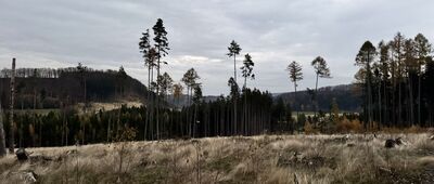 Závrchy, vyhlídkové místo ↔ Pod Machovskými končinami