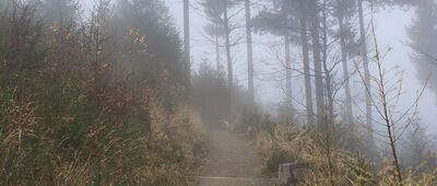 Bielsko-Biała, ul. Pocztowa ↔ Przy Stefance