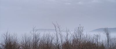 Pod Kozią Górą, wiata ↔ Przy Stefance