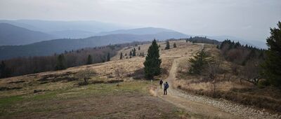 Rozejście szlaków pod Mogielicą ↔ Polana Stumorgowa