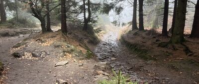 Wielka Sowa ↔ Schronisko Sowa