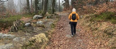 Schronisko Orzeł ↔ Schronisko Sowa