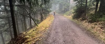 Pod Waligórą ↔ Rozdroże pod Waligórą