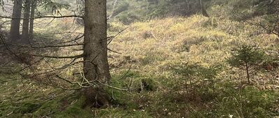 Pod Waligórą ↔ Rozdroże pod Waligórą