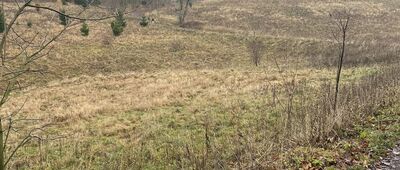 Rozejście szlaków ↔ Boguszów-Gorce