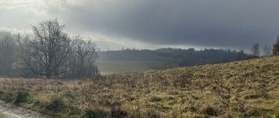Rosochatka ↔ Rozejście szlaków