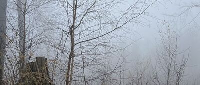 Chełmiec, stacja XIV ↔ Rosochatka