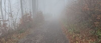 Chełmiec, stacja XIV ↔ Chełmiec Mały, stacja X