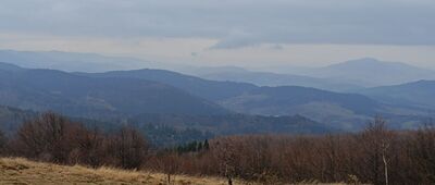 Przełęcz E. Rydza-Śmigłego ↔ Polana Wyśnikówka