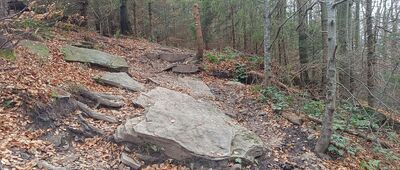 Polana Wyśnikówka ↔ Pod Mogielicą