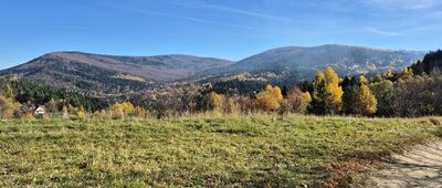 Pod Śliwnikiem ↔ Działek, początek szlaku żółtego [Kamiennik i Kudłacze z polany w pobliżu Lipiska]