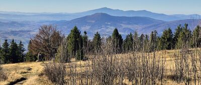 Ćwilin [Babia Góra i Luboń Wielki spod Ćwilina]
