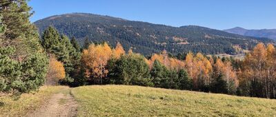 Czarny Dział [Ćwilin z Czarnego Działu]