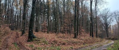 Kamieniołom starożytny