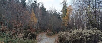 Rozdroże nad Sadami