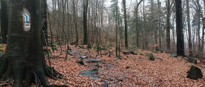 Odejście szlaku archeologicznego