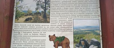 Rozejście ścieżek ↔ Skalna