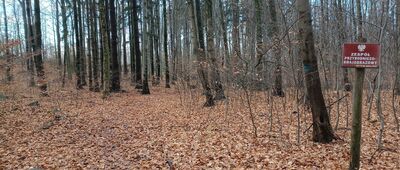 Rozejście ścieżek