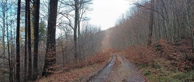 Odejście szlaku archeologicznego ↔ Rozejście ścieżek