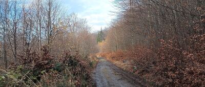 Odejście szlaku archeologicznego