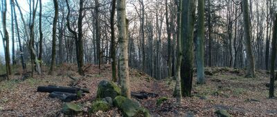 Ślęża, rozejście szlaków