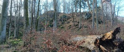 Ślęża, rozejście szlaków