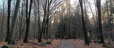 Tąpadła, skrzyżowanie