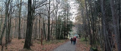 Tąpadła, skrzyżowanie