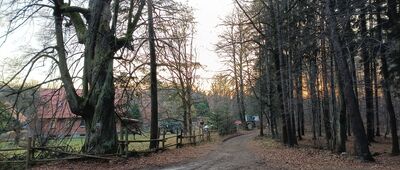 Przełęcz Tąpadła, Szlak Bolka