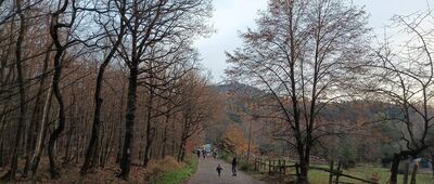 Przełęcz Tąpadła, Szlak Bolka