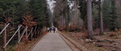 Rozdroże pod Kamieńczykiem ↔ Wodospad Kamieńczyka [Dolna stacja wyciągu -> wodospad Kamieńczyk]