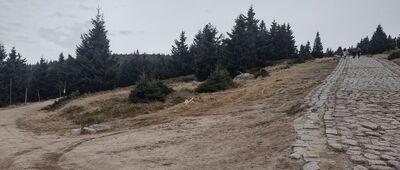 Hala Szrenicka [Hala Szrenicka - rozejście szlaku czerwonego i zielonego]