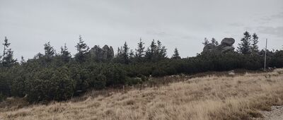 Hala Szrenicka ↔ Szrenicka Skała [Hala Szrenicka -> Górna Stacja]