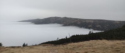 Szrenicka Skała [Górna Stacja -> Trzy Świnki]