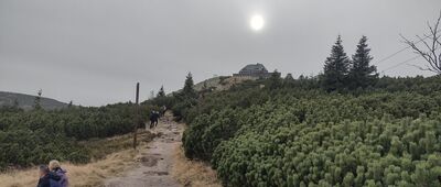 Szrenicka Skała [Górna Stacja -> Trzy Świnki]