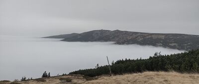 Szrenicka Skała [Górna Stacja -> Trzy Świnki]