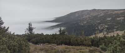 Szrenicka Skała ↔ Trzy Świnki [Górna Stacja -> Trzy Świnki]