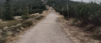 Trzy Świnki [Trzy Świnki -> Mokra Przełęcz]