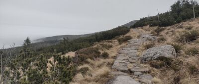 Mokra Przełęcz ↔ Mokre Rozdroże [Mokra Przełęcz -> Pod Łabskim Szczytem]