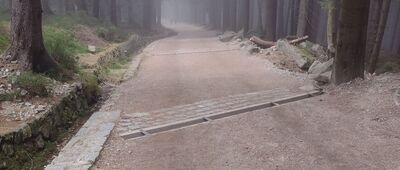 Stara Droga ↔ Schronisko Pod Łabskim Szczytem, odejście szlaku niebieskiego [Kukułcze Skały -> Stara Droga]