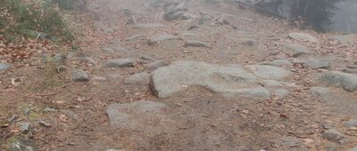 Szklarska Poręba, Kilińskiego ↔ Stara Droga [Stara Droga -> Szklarska Poręba]