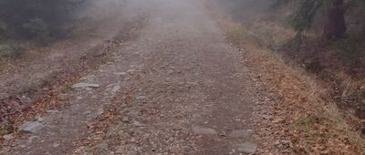 Szklarska Poręba, Kilińskiego ↔ Stara Droga [Stara Droga -> Szklarska Poręba]