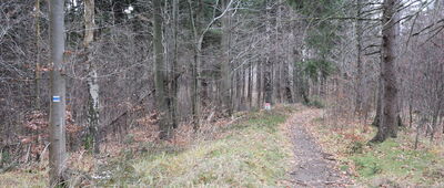 Przełęcz Karpowska ↔ Kobyla Kopa