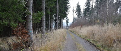 Ruiny zamku Karpień, skrzyżowanie ↔ Przełęcz Karpowska