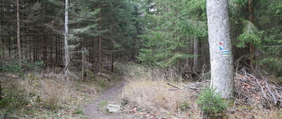 Rozdroże Zamkowe ↔ Ruiny zamku Karpień, skrzyżowanie