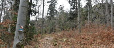 Rozdroże Zamkowe ↔ Trojak