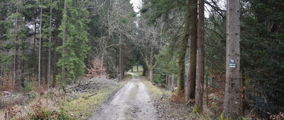 Kościół pw. Matki Bożej od Zagubionych ↔ Rozdroże Zamkowe