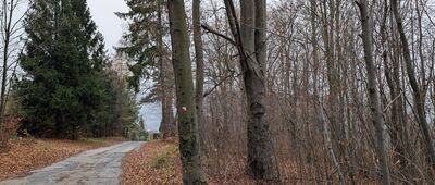 Ustroń, wodociągi ↔ Ustroń Poniwiec, ul. Drozdów